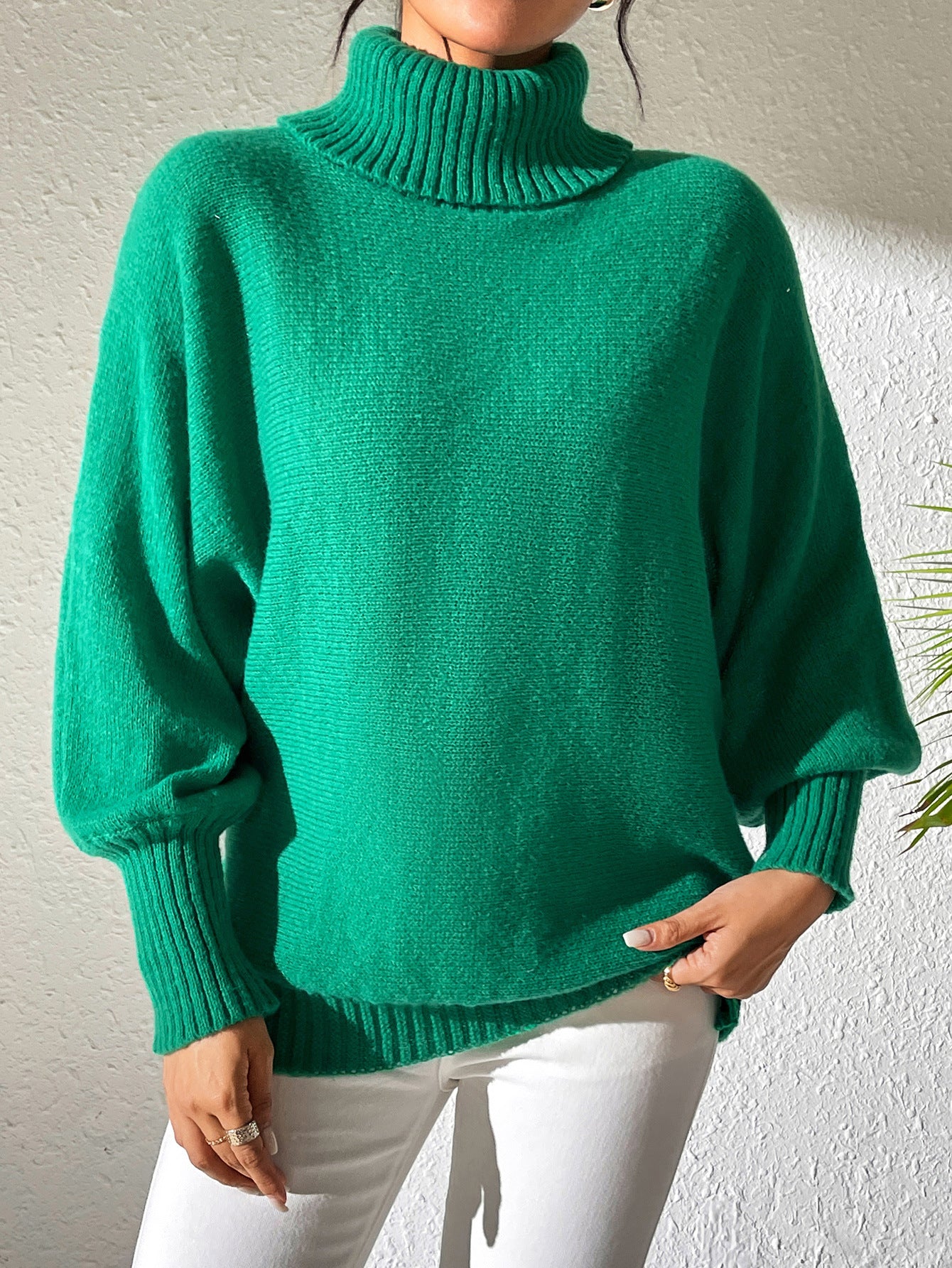 Women's Solid Color Turtleneck Lapel Sweater